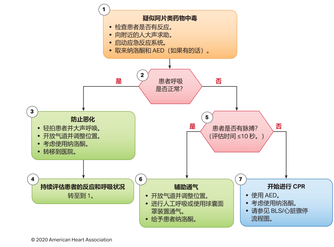 最新心血管指南引领健康新时代