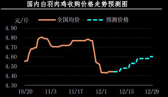 白羽肉鸡最新价格动态解析