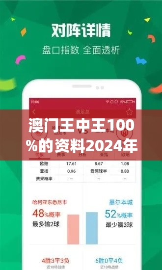 2024年新澳门王中王免费,精细化策略解析_社交版57.813