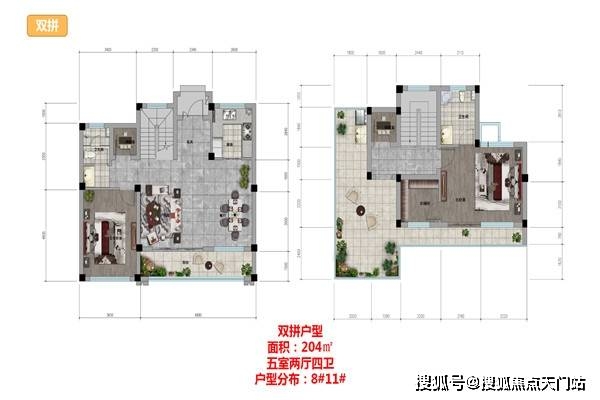 2024新澳精准正版资料,未来规划解析说明_MT25.321