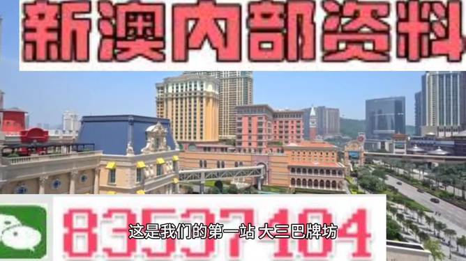 2024新澳门免费正版精准资料,深度应用数据解析_suite31.804