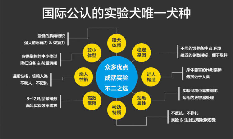 4949彩正版免费资料,权威推进方法_精简版10.536