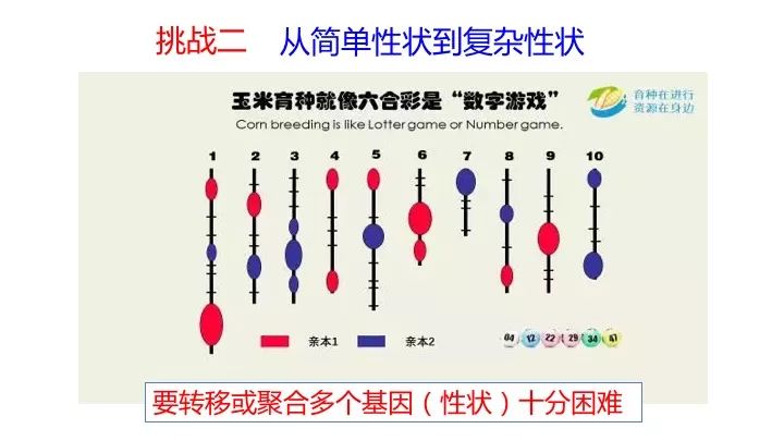 澳门一码一肖一特一中是公开的吗,效率资料解释落实_挑战版45.657