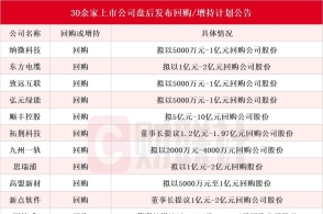 澳门今晚必开1肖,功能性操作方案制定_挑战版82.382