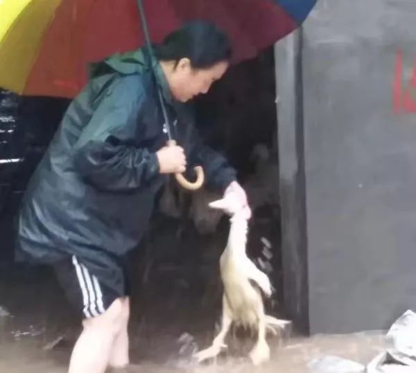 风雨无阻的直播探索，突破力量展现美