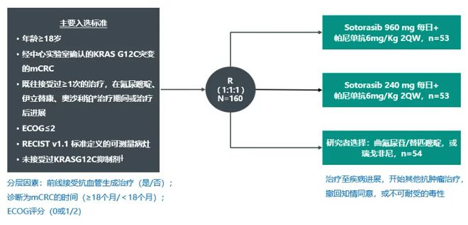 2024新奥精准资料免费大全078期,最新解答解析说明_模拟版39.900