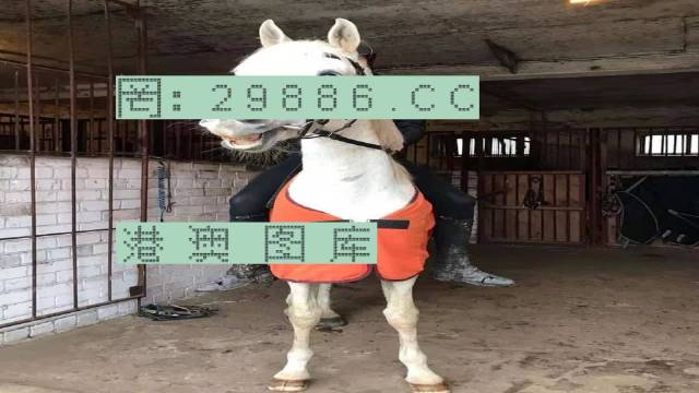 7777788888新版跑狗,实地考察数据执行_eShop33.313