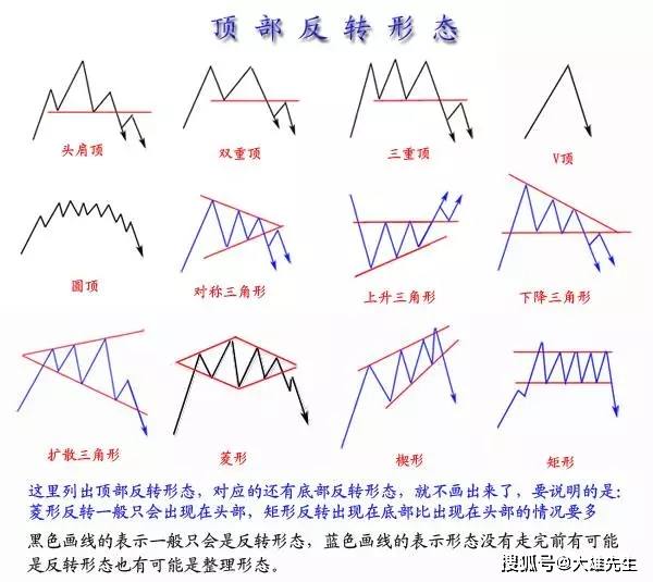 新澳天天开奖资料大全262期,经典案例解释定义_纪念版11.62