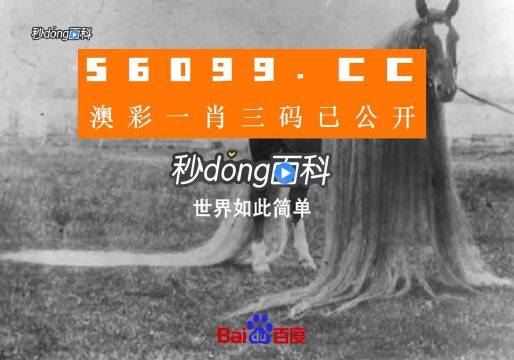 澳门一肖一码一必中一肖同舟前进,迅速解答问题_Prime74.804