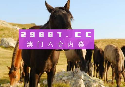 澳门管家婆一肖一码一中,准确资料解释落实_体验版92.363