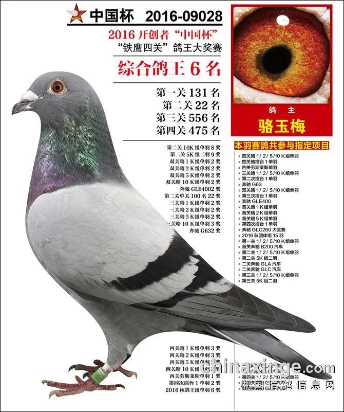 王中王100℅期期准澳彩,最新正品解答定义_HDR56.391