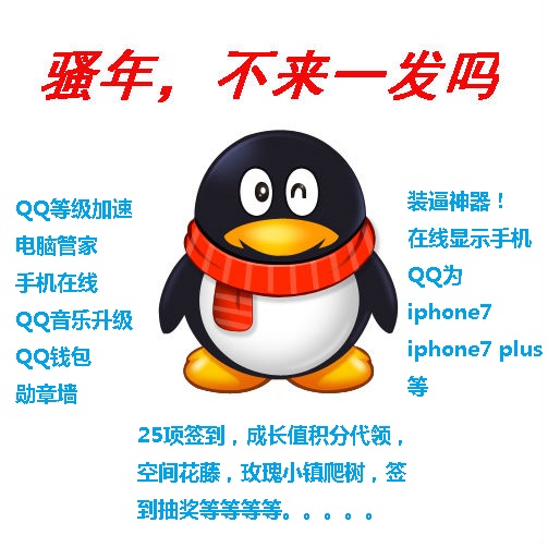 最新免费QQ代理，探索优势与使用指南