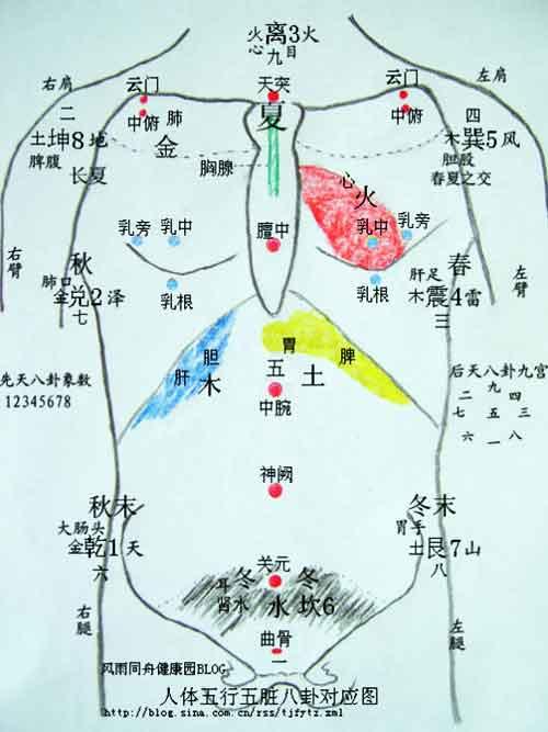 最新象数疗法，探索与应用实践