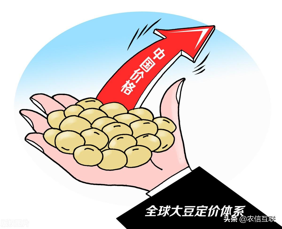 山东豆粕最新价格分析今日报告