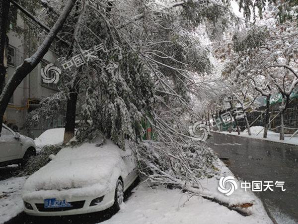 喀什地区市气象局人事任命揭晓，新任领导将带来哪些影响？