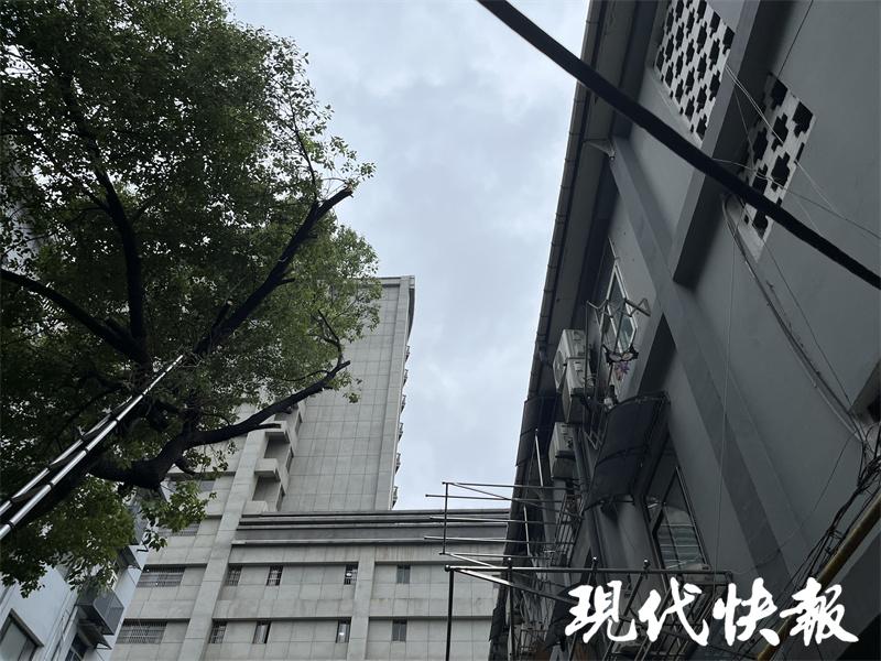 南京两桥改造最新进展，迈向现代化城市交通变革之路