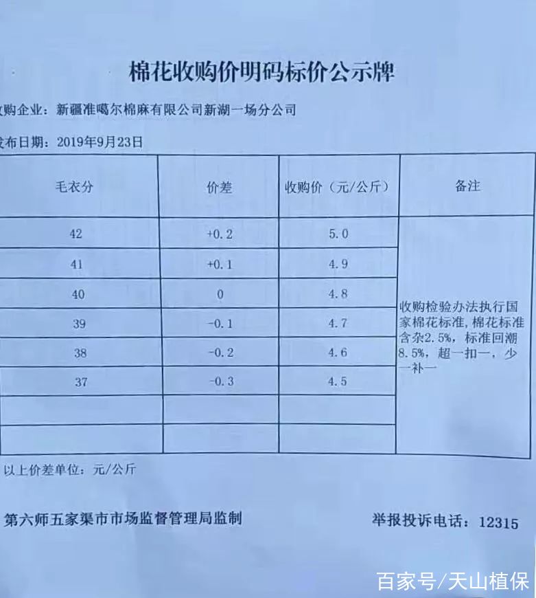 山东金乡棉花最新价格动态解析