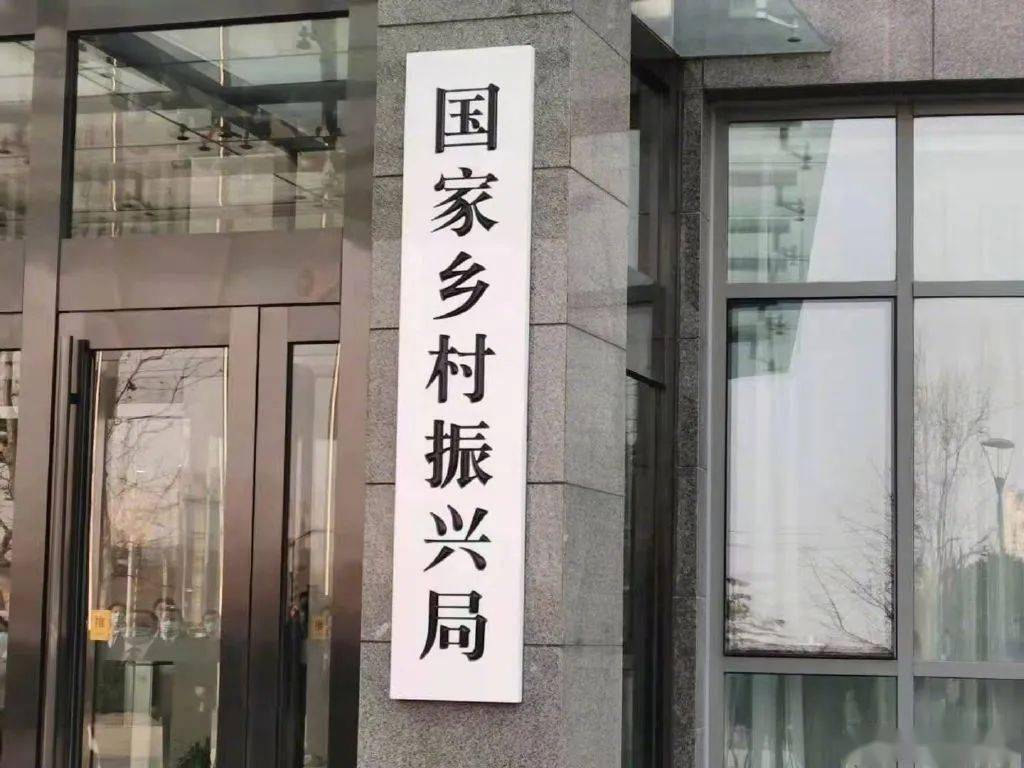 西江巴村最新人事任命动态及其深远影响分析